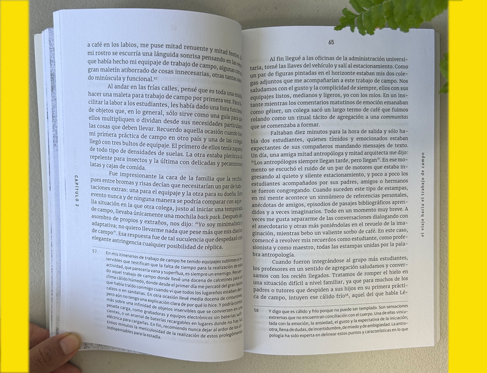 diseño de libros